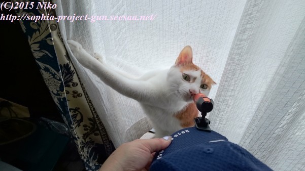 2015-06-16 10.05.14射撃.jpg