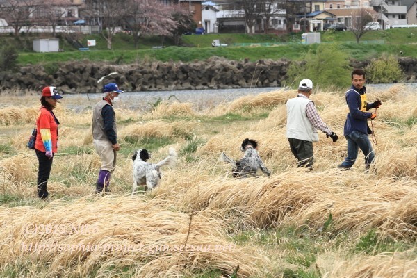 IMG_5699射撃.jpg
